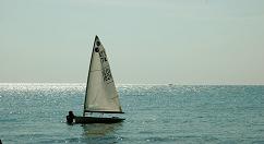 Una vela nello specchio d'acqua davanti alla nostra spiaggia ad Albinia